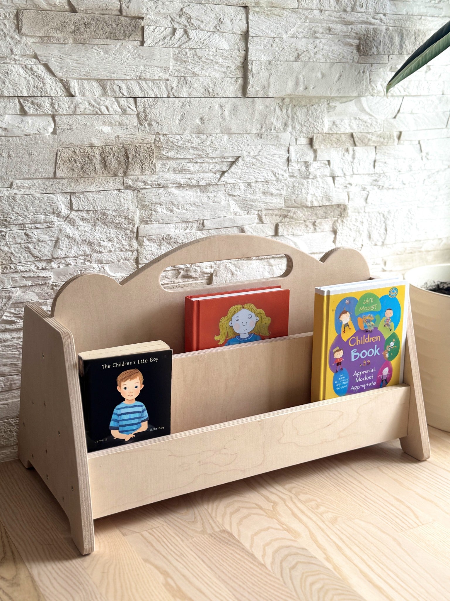 Montessori Double Sided Wooden Book Display For Kids